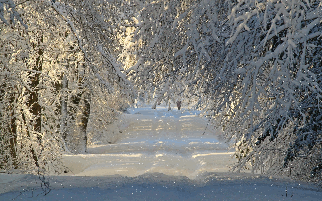 Зимняя дорога в лесу. Гифка под горизонтальным меню