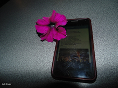 Телефон и цветочек