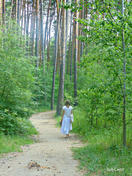 Наталья гуляет по лесу