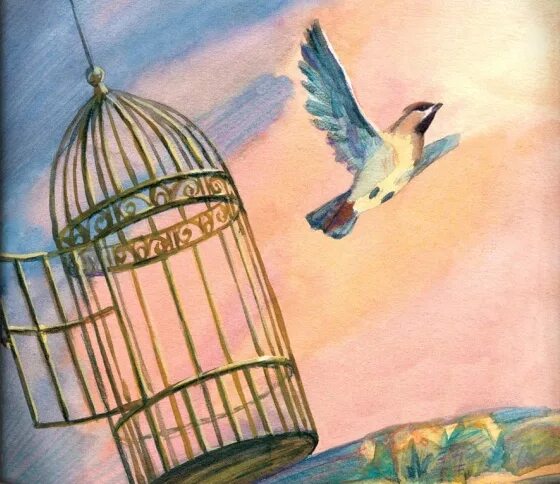 Мне здесь тесно