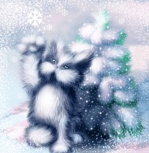 Снежный кот Гифка
