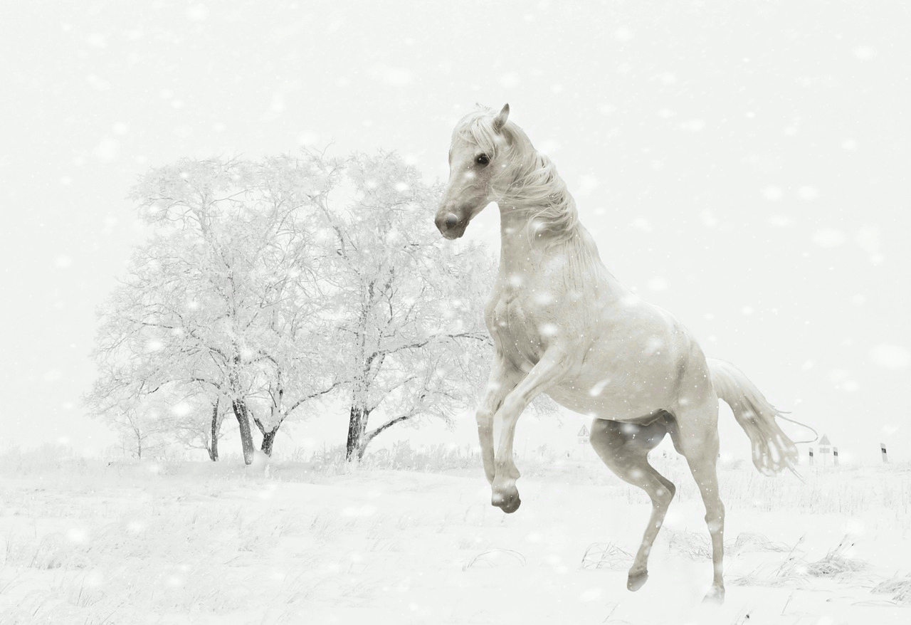 Лошадь зимой. Гифка под горизонтальным меню