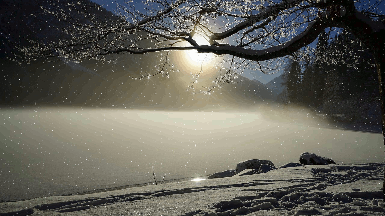 Ветка на фоне солнца и снежного озера. Гифка под горизонтальным меню